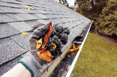 Remove Leaves!
