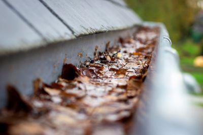 Extend Gutter Lifespan