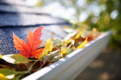 Gutter Cleaning - Gutter Repair Lebanon, Tennessee