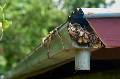 Increase the Value of Your Home with Gutter Cleaning!