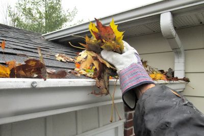 Gutter Leaf Cleaning