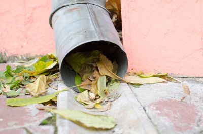 Remove Sticks, Leaves, and Debris!