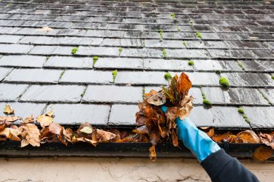 Prevent Damage To Your Roof With Professional Gutter Cleaning!