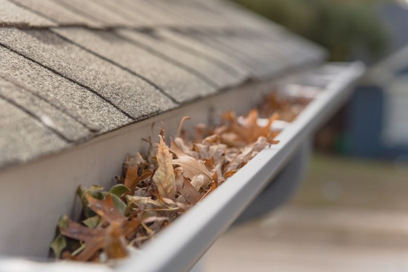 Extend Gutter Lifespan!