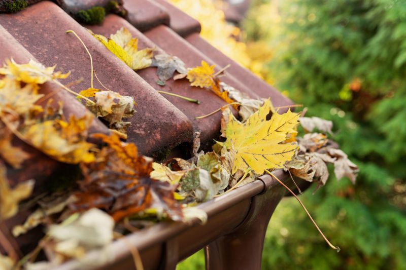Prevent Pest Infestations!