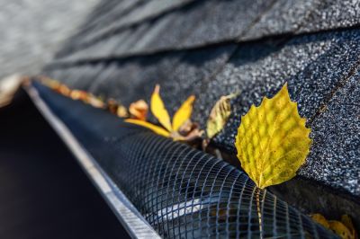 Keep Leaves and Debris Out of Your Gutters!