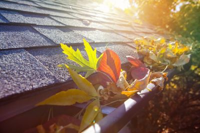 Prevent Damage To Your Landscaping With Professional Gutter Cleaning!